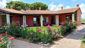 Agriturismo Il Sogno Castiglione Del Lago